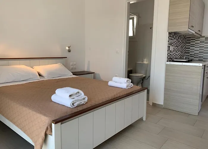 佩拉格斯一室公寓酒店 *